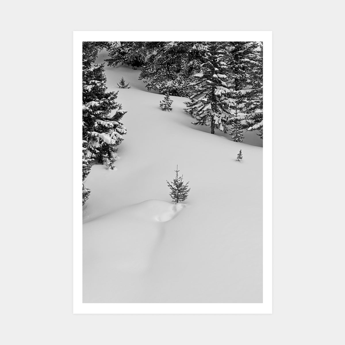 Little Tree Art Print Powderhoundlondon