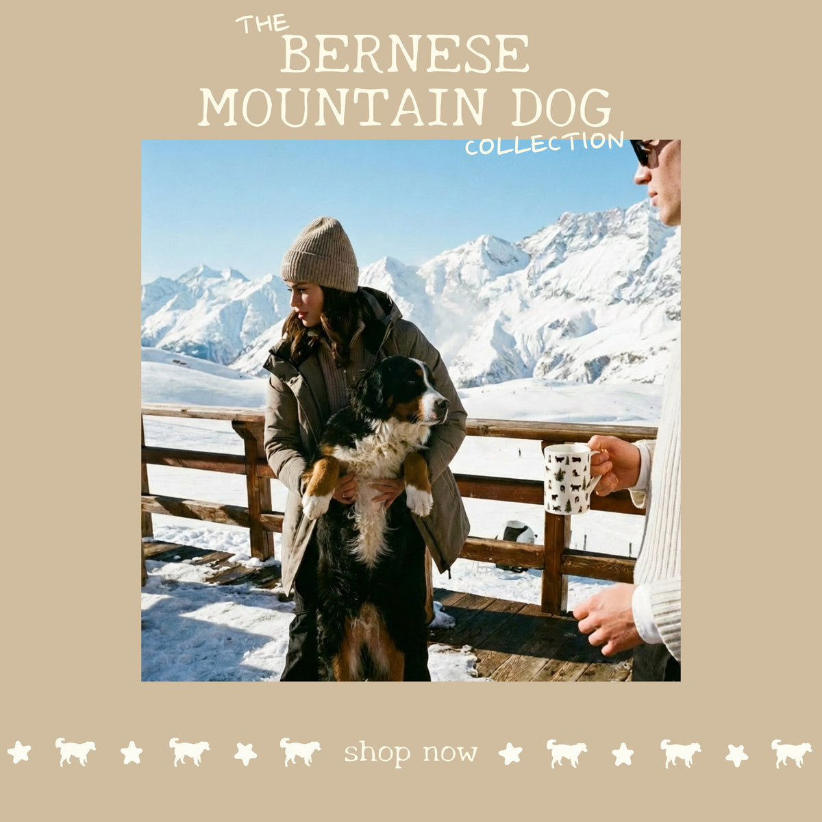 The Bernese Mountain Dog: Life at Altitude