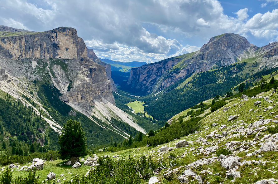Dog lover's guide to mountain walks